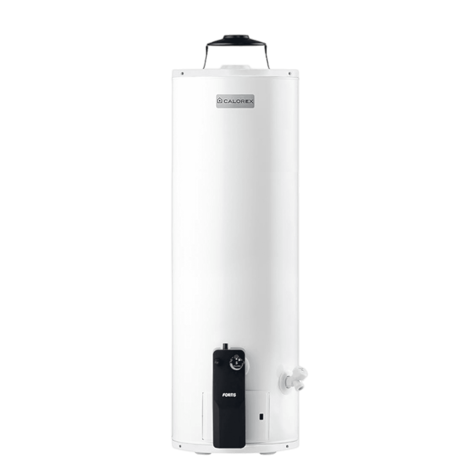Boiler Deposito 106 LT Gas Natural 3 Servicios G30 3270063 Calorex Fortis